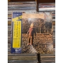 The Allman Brothers Band – Brothers And Sisters
