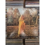 The Allman Brothers Band – Brothers And Sisters