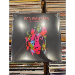 Foo Fighters – Wasting Light