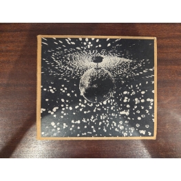 Cd - Neil Young – Mirror Ball