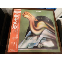 Camel