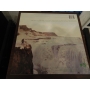 Echo e The Bunnymen – Porcupine