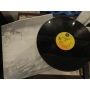 Echo e The Bunnymen – Porcupine