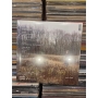 Lp - Taylor Swift – Evermore